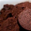 Coffee grounds as fertilizer: for which plants?
