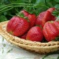 Lahat tungkol sa remontant strawberries, mga panuntunan para sa pangangalaga at pagpaparami Kung pupunuin ang remontant strawberries sa taglagas